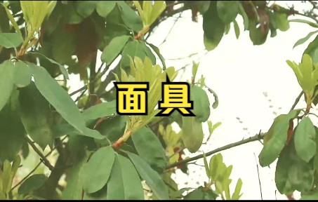 微电影面具