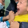 怎么不能呢 男童打疫苗与医生神对话