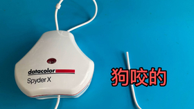 e49ce2e49e639d4bcc515d42b160b137483c500b.jpg@280w_158h_1c_100q.jpg