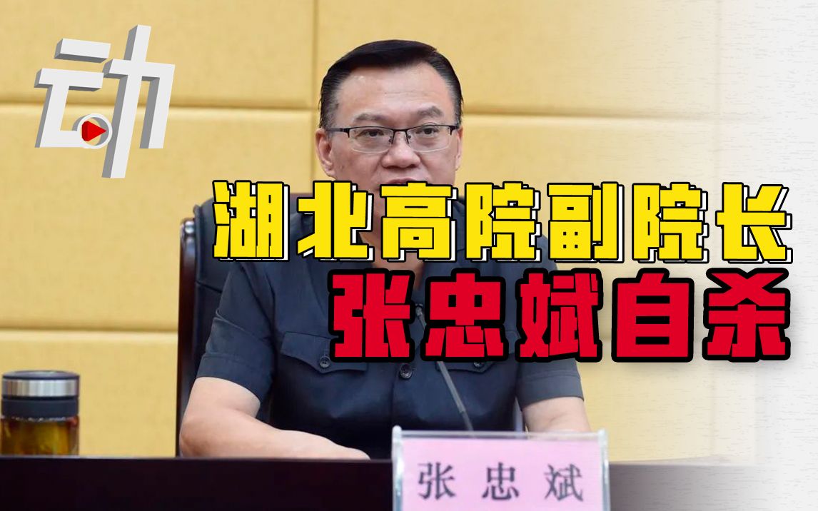 湖北高院副院长张忠斌自杀身亡：曾称良心是最好的法律