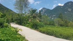 green绿色怎么发音 e4a189bc72d1c1dd9796ce8cac0644449308db12.jpg@280w_158h_1c_100q.jpg