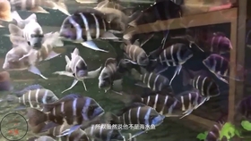 e4b7d6f19a8e2e71732b99a956571b924b005ba0.jpg@280w_158h_1c_100q.jpg