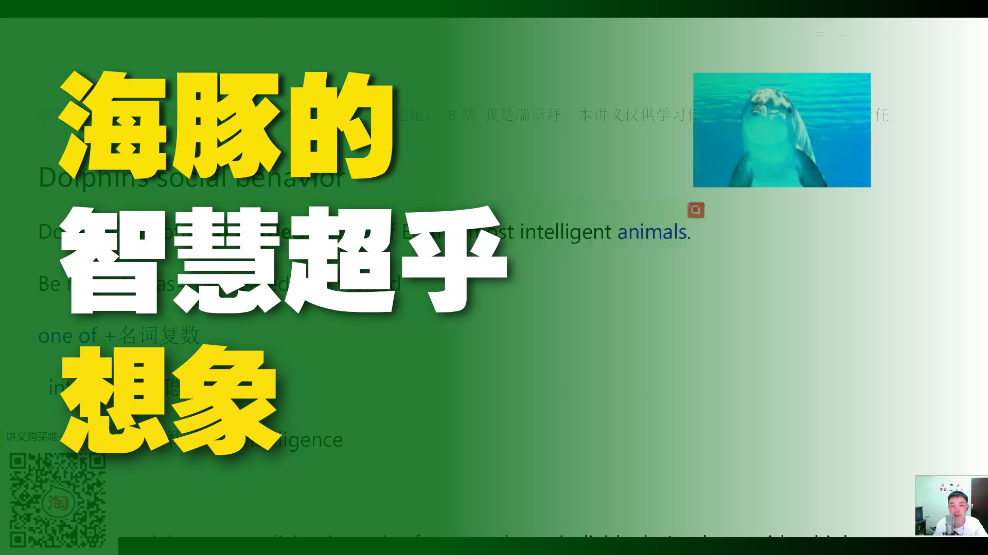 25下 四六级词汇课 dolphins 海洋生物词汇