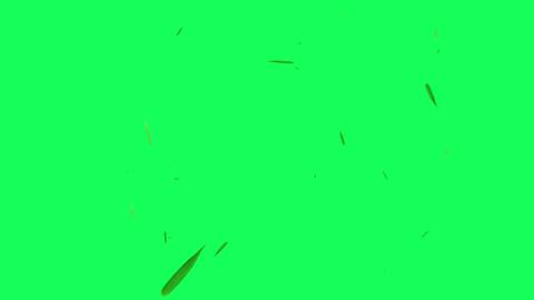 e50f1e3757d9fcadb715d43ce1653cff6e4f4498.jpg@480w_270h_1c