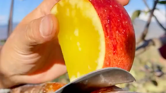 这样的苹果，光是切开就已经被甜到了！