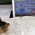 有个爱学习的猫猫，生怕耽误它学习
