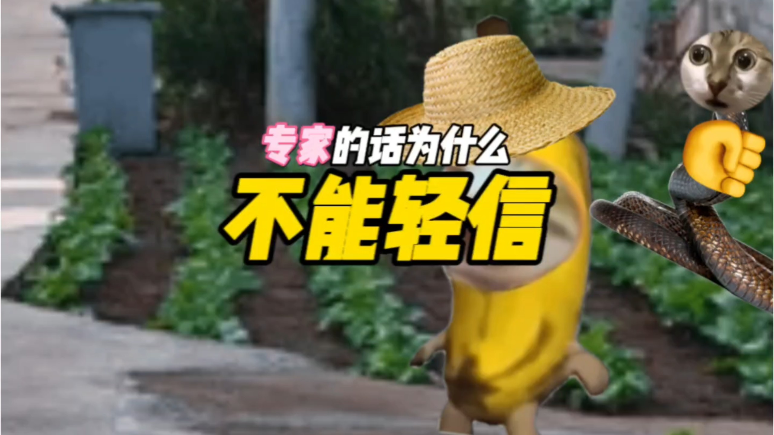 专家的话为什么不能轻信？