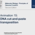 【动画】DNA剪切转座 DNA cut-and-paste transposition《分子生物学：基因功能原理》15