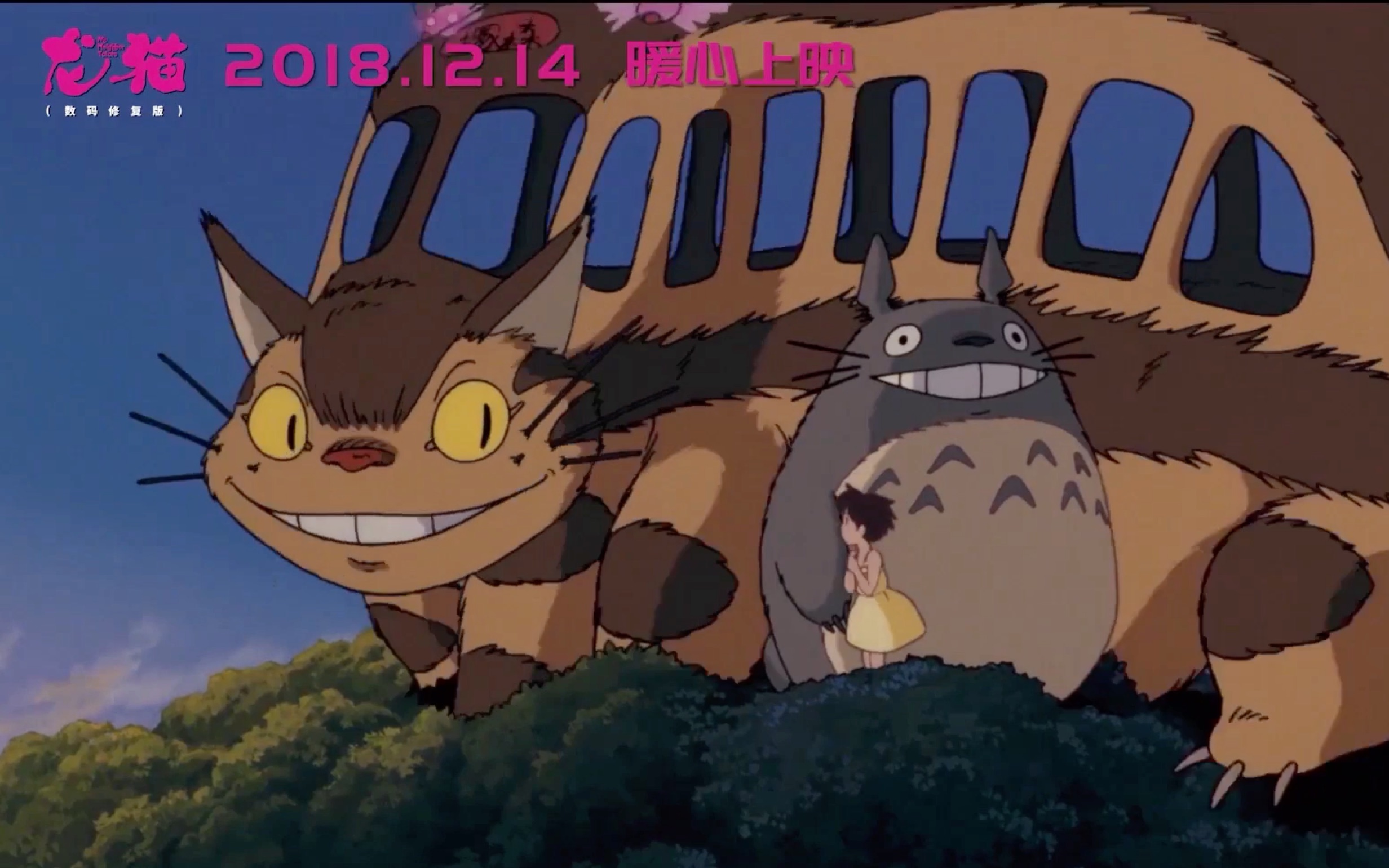 龙猫电影版完整片中文