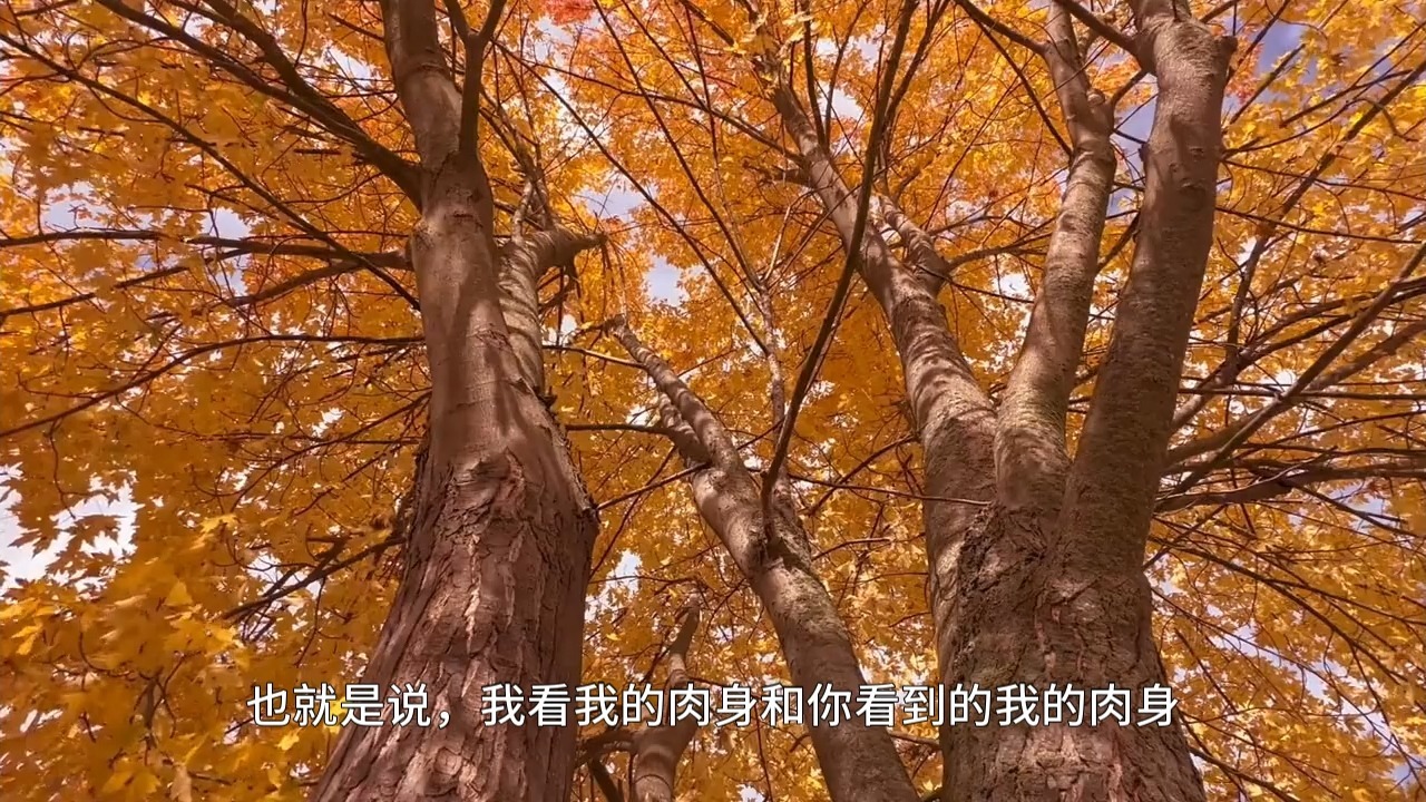 你才是众星捧月的月！悟道便是看见这样的自己：从法报化三身窥见本自圆满的自己！