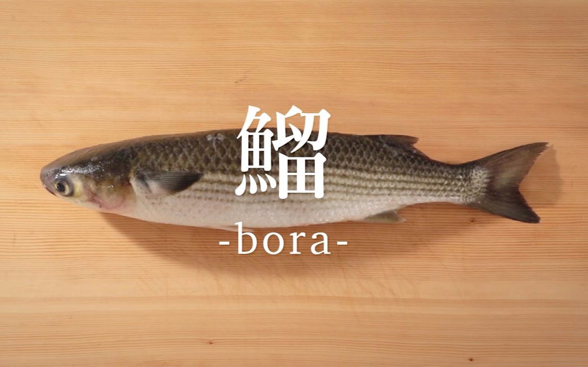日本美食老司机教你解剖乌鱼