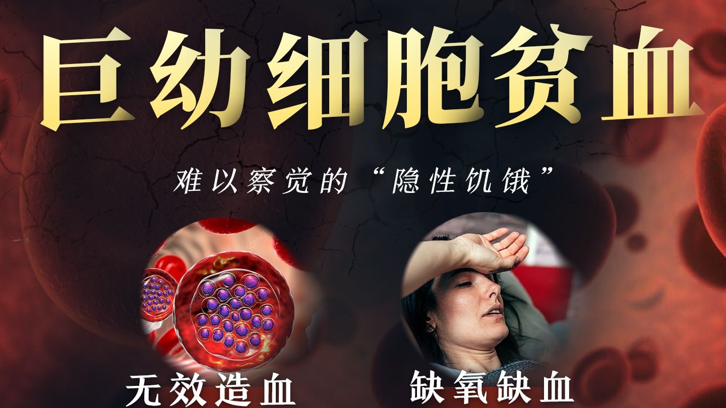 血色启示录：从"异常贫血"到巨大化红细胞