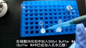 e5669dbc3953d9aa1e984d662ddff7347073b816.jpg@280w_158h_1c_100q.jpg