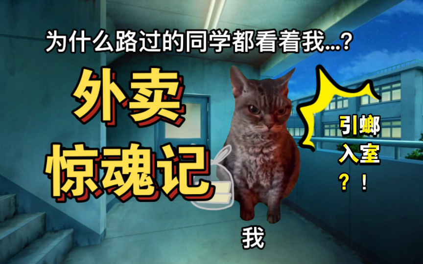 【猫meme】关于我在不知情的情况下拎了十几只广东大蟑螂回宿舍的故事