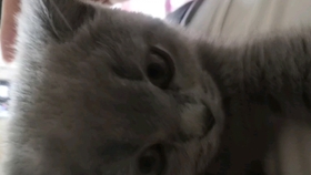 e596436a4c84a3adf2037d04fb139e3fcba1f98b.jpg@280w_158h_1c_100q.jpg