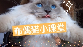 e5a7ee5d9fe522e21ebebe671248143d5464cbfb.jpg@280w_158h_1c_100q.jpg