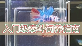 e5a9b51c927ebbc47762f3f87437839c3a346013.jpg@280w_158h_1c_100q.jpg
