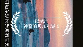贝加尔湖畔口琴版曲谱_贝加尔湖畔口琴简谱(5)