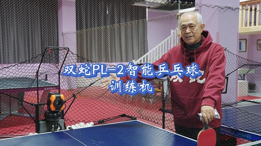 PL2最新演示视频
