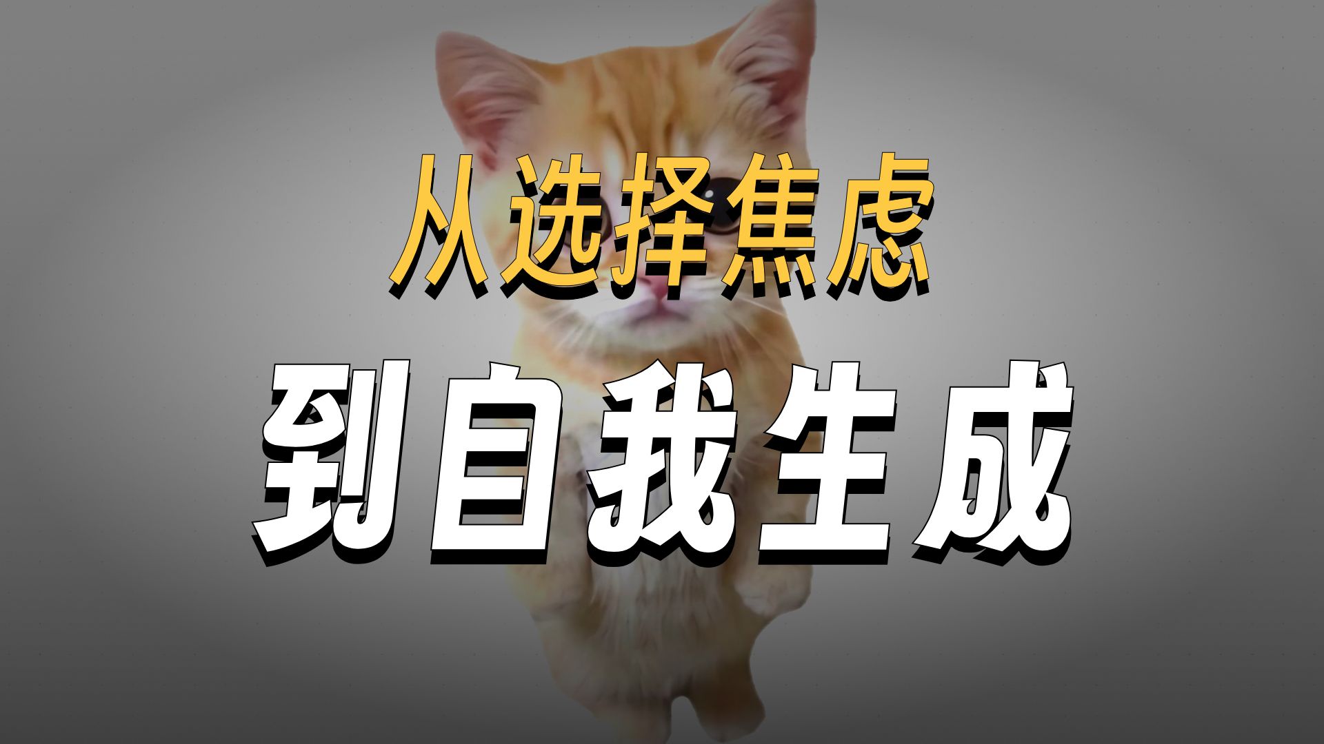 什么是奥德赛时期，我用小猫给你解释一下