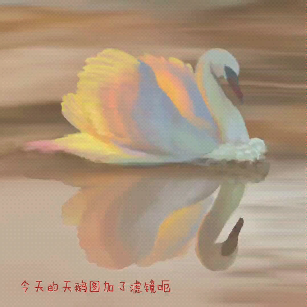 【procreate】巨简单天鹅画法哔哩哔哩bilibili