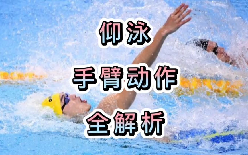 仰泳「手臂动作」全解析