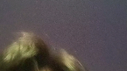 来说说读个研究生的那些事儿（以后是不是可以搞一个研究生对话）