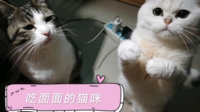 e614cf885a0dd498ad977ba9caddfdcff30f5a16.jpg@280w_158h_1c_100q.jpg
