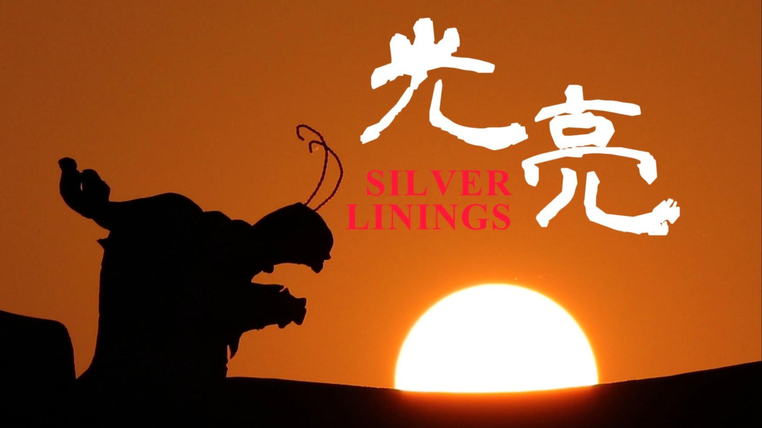 4k|光亮|原声背景视频🎶无论目的，无畏宿命