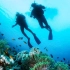【央视1080P】《深潜》3集&《潜行深渊》&《马里亚纳海沟》 深海探索纪录片