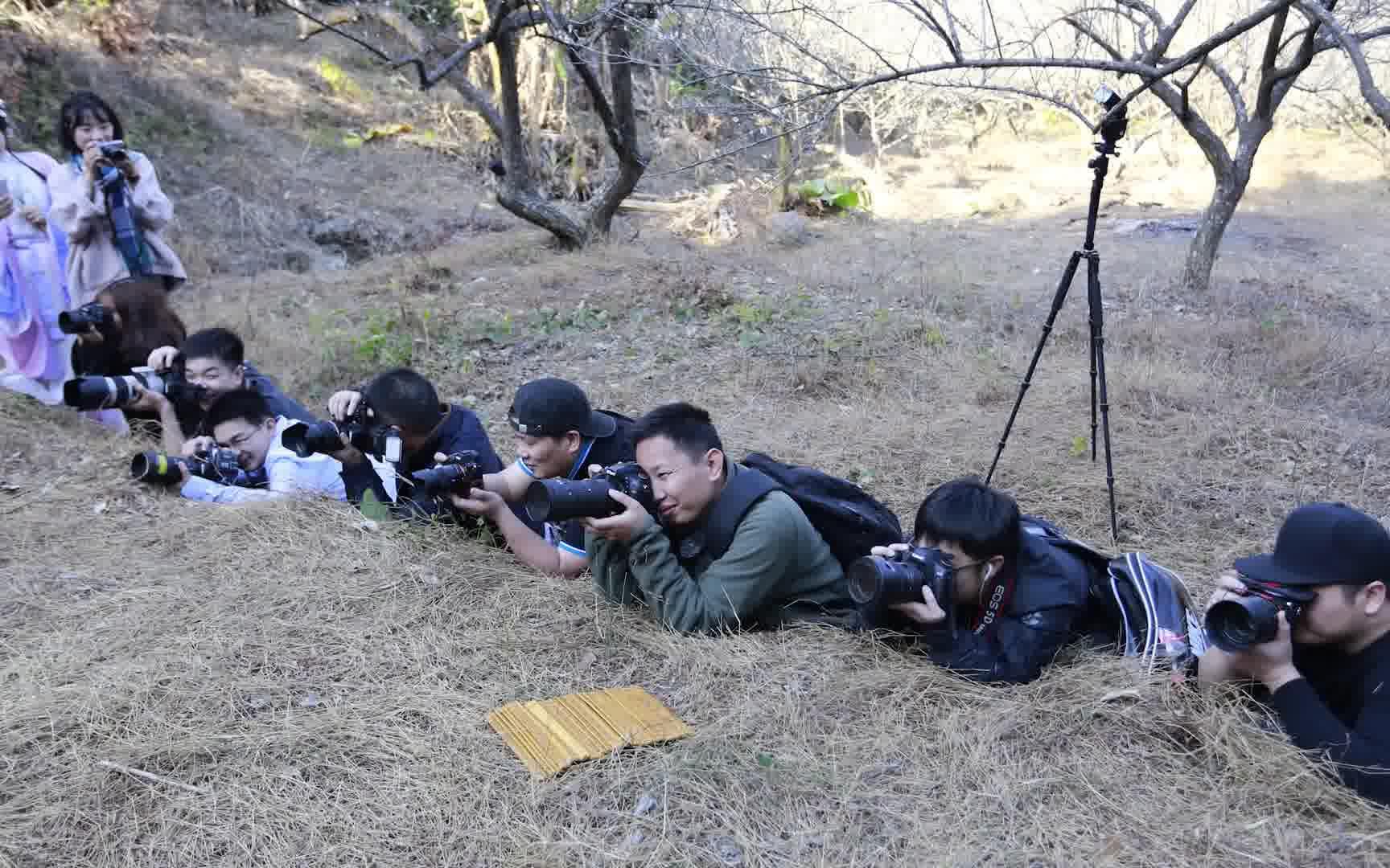 清溪梅园摄影活动花絮