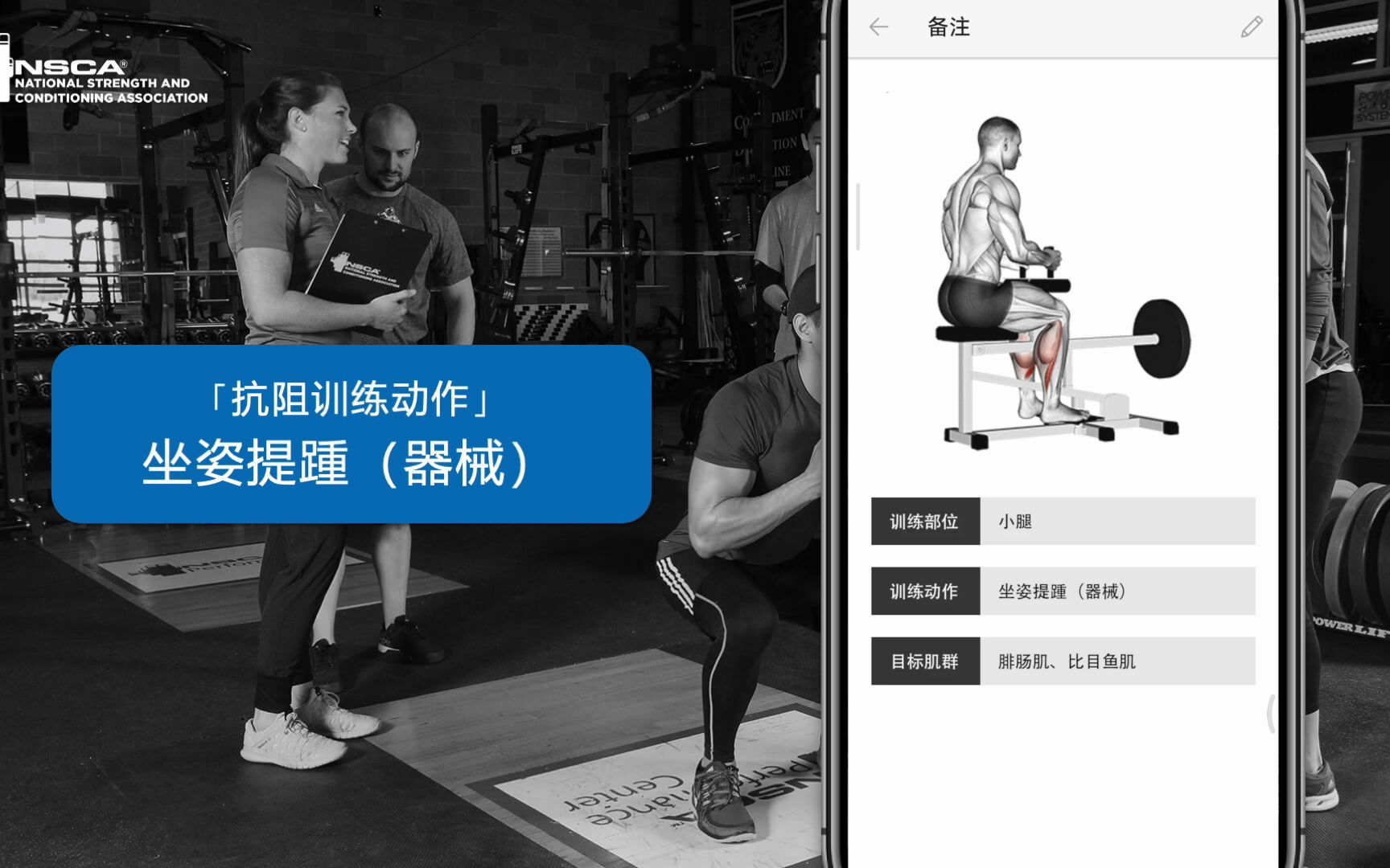 nsca cpt cscs 认证考试 坐姿提踵 抗阻训练动作 演示 美国国家体能