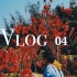 【Vlog·04】过年啦！ //寒假过年日常/买年货/团年饭/赏花