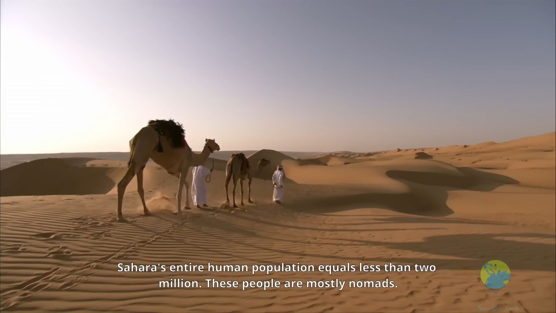 人教新八下Unit4 拓展阅读补充视频 The Sahara desert 撒哈拉沙漠