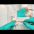 小鼠输卵管结扎手术