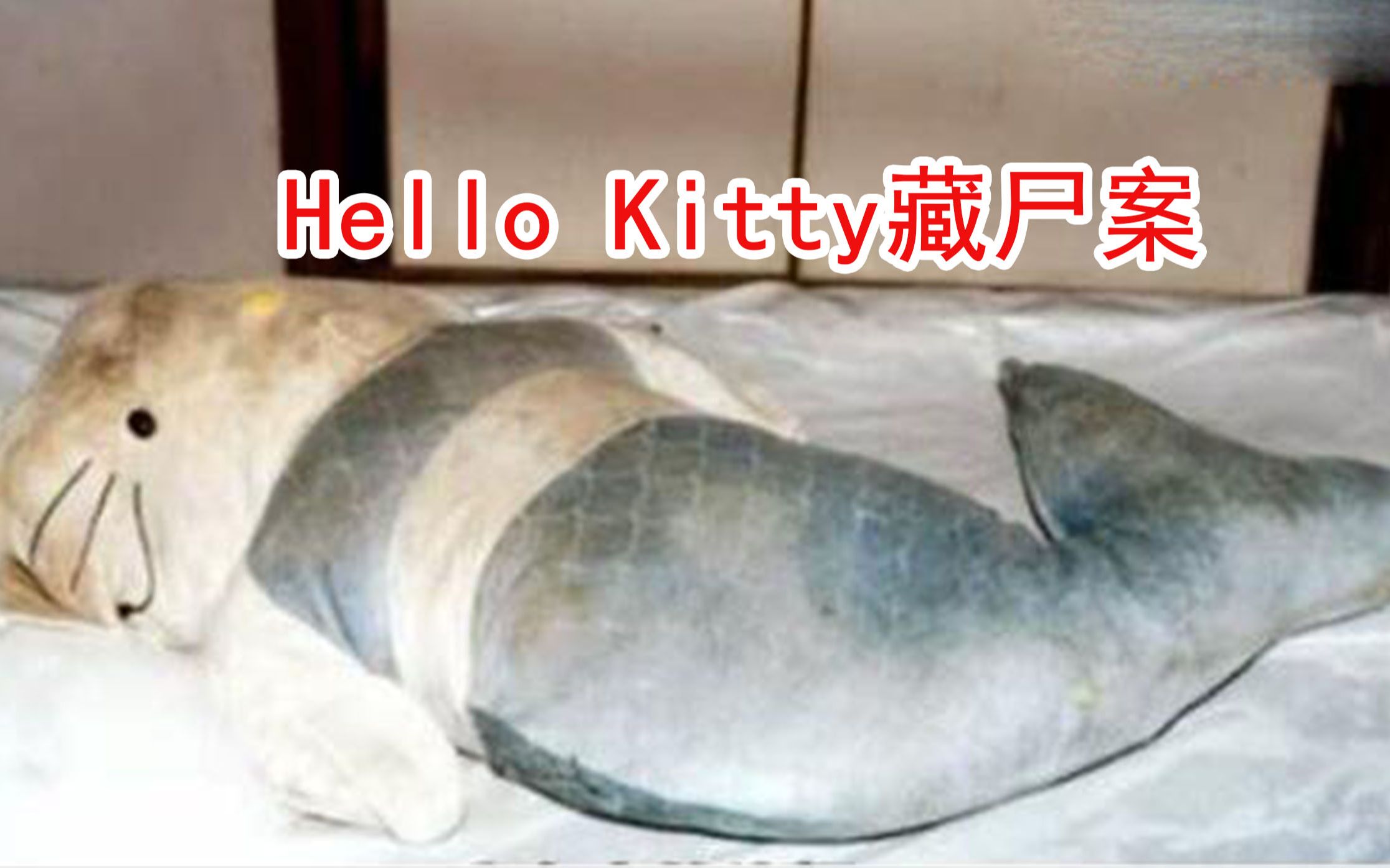 hellokitty藏尸案凶手竟用hellokitty藏人头