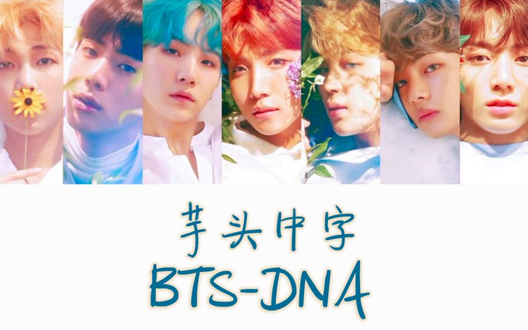 芋头中字 防弹少年团 Bts Dna 高清中字mv 哔哩哔哩 つロ干杯 Bilibili