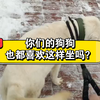 日常溜溜我们杏仁仁（诚信互赞互关了！赞的多回的多，记得私聊or评论