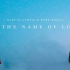 【单曲】【伴奏/纯人声版】Martin Garrix & Bebe Rexha - In The Name Of Lov