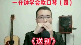 追梦人口琴简谱C_追梦人c调口琴简谱(2)