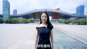 百强区2020排名GDP_中国城市gdp2020排名(3)