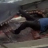 【大白鲨电影】精彩片段+鲨鱼来到海滩伤人+老船长出海捕鲨鱼被鲨鱼吃了