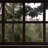 [白噪音] [虚拟窗户] 热带暴雨虚拟窗户投影超清素材 + 白噪音