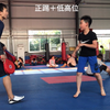 跆拳道竞技脚靶训练，青少年基础技术教学