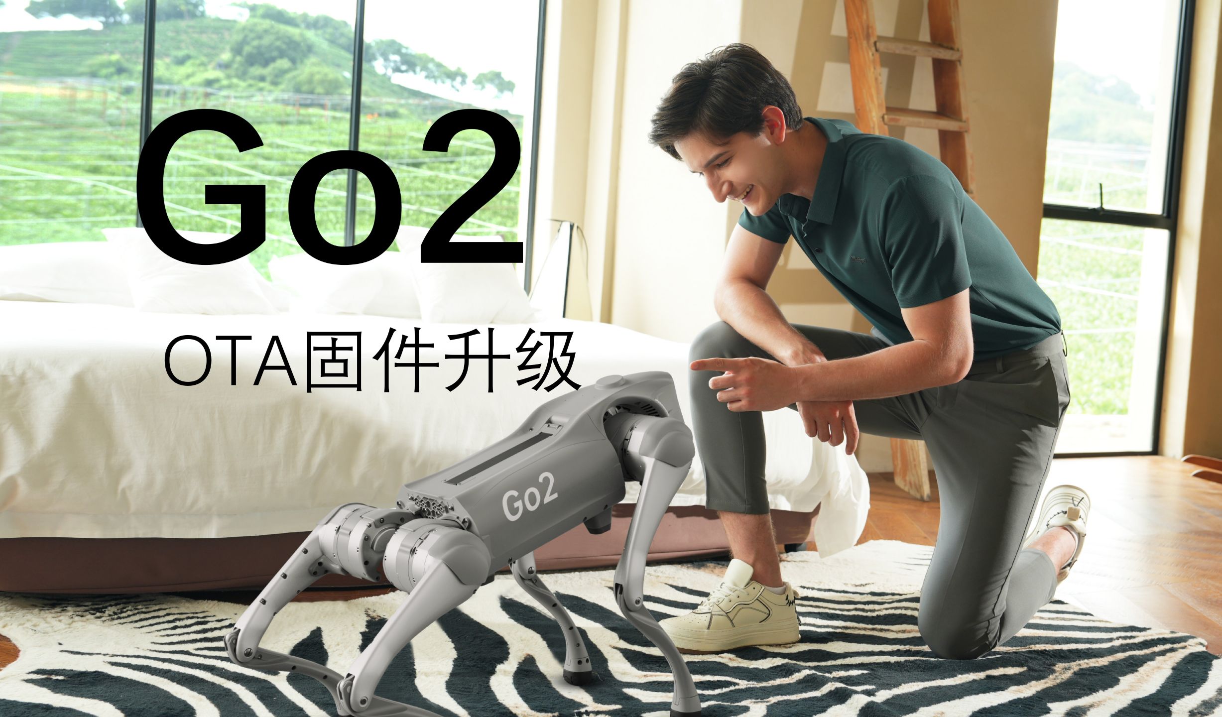 Go2使用教学03-OTA固件升级