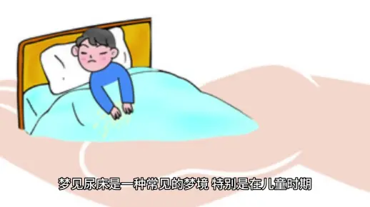 梦境与现实的奇妙交集,解析晚上梦到在上厕所却尿床的神秘现象 梦境与现实的奇妙交集,解析晚上梦到在上厕所却尿床的神秘现象
