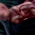 3D动画演示【从卵子受精到胎儿出生过程】
