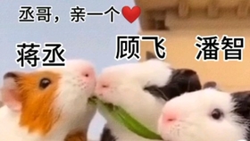 e79032b82686c11590a3c4e445868ec75c402593.jpg@280w_158h_1c_100q.jpg