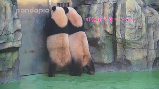 e793312dd4dd42c4ab5168142107de2959a85814.jpg@310w_174h_1c_100q.jpg