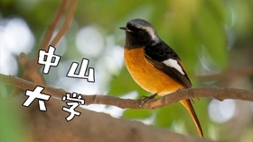 e79421bf31abeb8c05e51416b7a646a696d30fc2.jpg@280w_158h_1c_100q.jpg